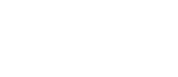 Vita Založba Logo